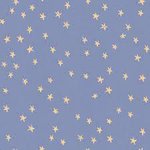 Starry Night Sky Dusk